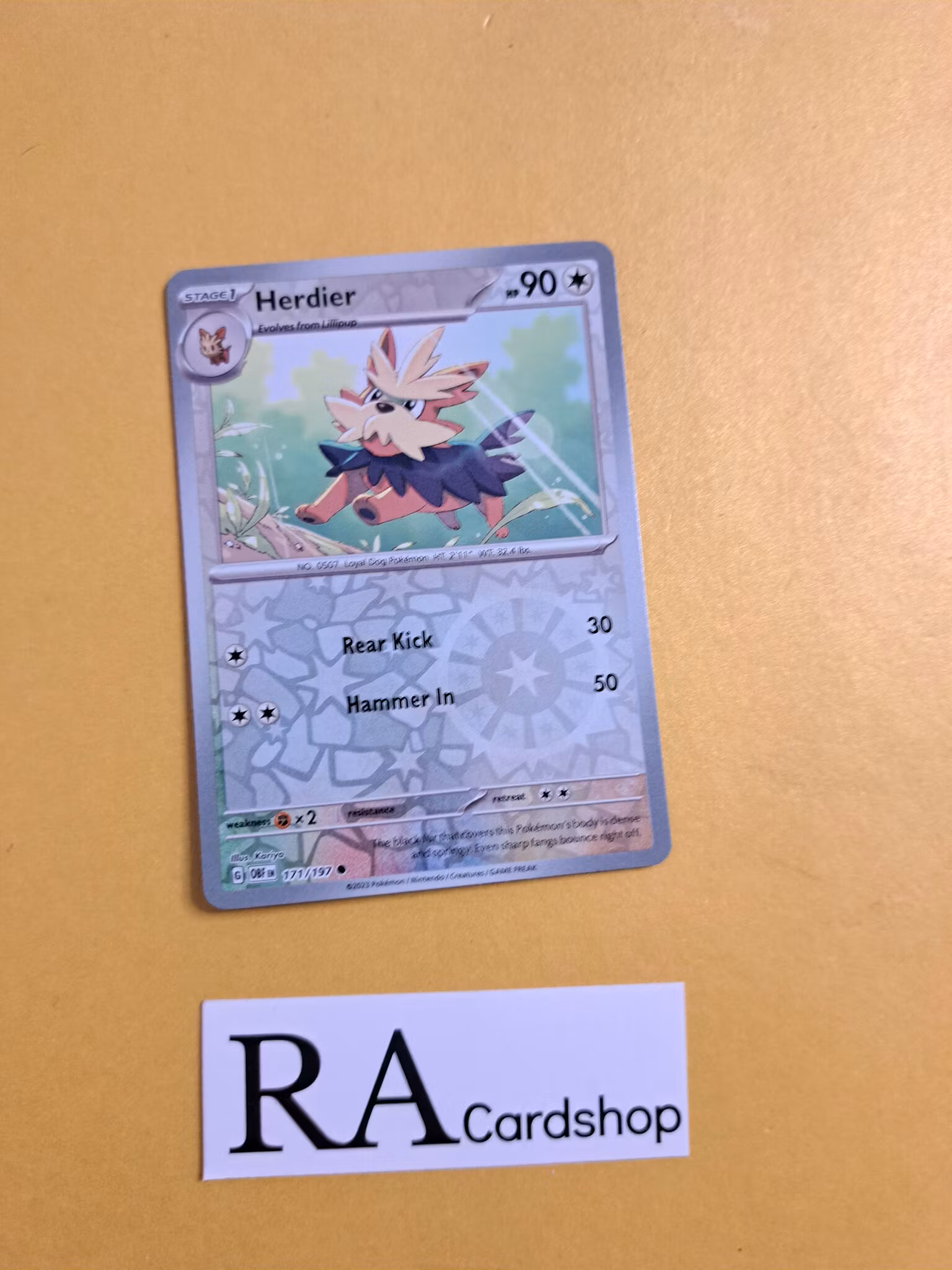 Herdier Reverse Holo Common 171/197 Obsidian Flames Pokemon