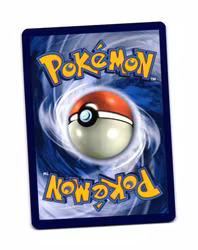 Shinx Reverse Holo Common 066/167 Twilight Masquerade Pokemon