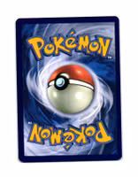 Poochyena Reverse Holo Common 113/167 Twilight Masquerade Pokemon