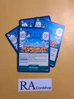 Birdcage Common Playset OP05-040 Awakening of the New Era OP05 One Piece Card Game