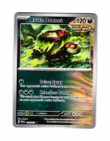 Brute Bonnet Uncommon 118/167 Twilight Masquerade Pokemon