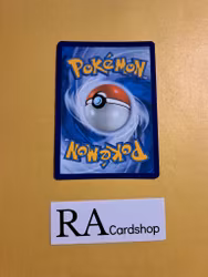 Houndstone Holo Rare 043/091 Paldean Fates Pokemon