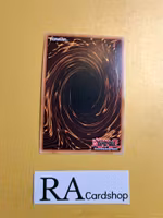 Fairy Tail - Luna RA01-EN009 Prismatic Collectors Rare 1st Edition 25th Anniversary Rarity Collection Yu-Gi-Oh