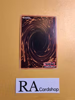 Wynn The Wind Channeler RA01-EN018 Rare 1st Edition 25th Anniversary Rarity Collection Yu-Gi-Oh