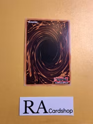 Wynn The Wind Channeler RA01-EN018 Rare 1st Edition 25th Anniversary Rarity Collection Yu-Gi-Oh