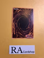 Vision Hero Faris RA01-EN004 Rare 1st Edition 25th Anniversary Rarity Collection Yu-Gi-Oh