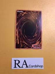 Vision Hero Faris RA01-EN004 Rare 1st Edition 25th Anniversary Rarity Collection Yu-Gi-Oh