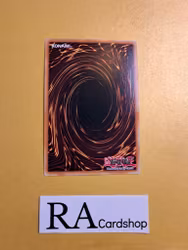 Code Talker Inverted RA01-EN045 Secret Rare 1st Edition 25th Anniversary Rarity Collection Yu-Gi-Oh