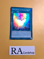 Spellbook of Judgement RA01-EN054 Super Rare 1st Edition 25th Anniversary Rarity Collection Yu-Gi-Oh