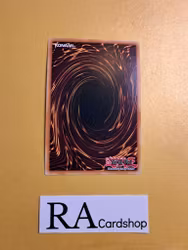 Spellbook of Judgement RA01-EN054 Super Rare 1st Edition 25th Anniversary Rarity Collection Yu-Gi-Oh