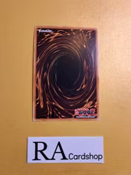 Chaos Space RA01-EN065 Ultra Rare 1st Edition 25th Anniversary Rarity Collection Yu-Gi-Oh