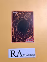 Shaddoll Schism RA01-EN077 Super Rare 1st Edition 25th Anniversary Rarity Collection Yu-Gi-Oh