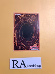 Shaddoll Schism RA01-EN077 Super Rare 1st Edition 25th Anniversary Rarity Collection Yu-Gi-Oh