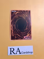 Decode Talker Heatsoul RA01-EN048 Super Rare 1st Edition 25th Anniversary Rarity Collection Yu-Gi-Oh