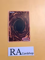 Inspector Boarder RA01-EN010 Super Rare 1st Edition 25th Anniversary Rarity Collection Yu-Gi-Oh