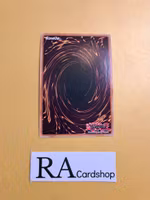 Nowru Aries the Vernal Dragon Super Rare MP23-EN054 1st Edition 25th Anniversary Tin: Dueling Heroes Mega Pack MP23 Yu-Gi-Oh