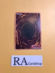 Nowru Aries the Vernal Dragon Super Rare MP23-EN054 1st Edition 25th Anniversary Tin: Dueling Heroes Mega Pack MP23 Yu-Gi-Oh