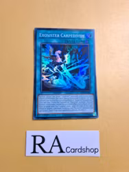 Exosister Carpedivem Super Rare MP23-EN262 1st Edition 25th Anniversary Tin: Dueling Heroes Mega Pack MP23 Yu-Gi-Oh