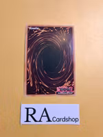 Exosister Carpedivem Super Rare MP23-EN262 1st Edition 25th Anniversary Tin: Dueling Heroes Mega Pack MP23 Yu-Gi-Oh