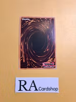 Extra Pendulum Rare MP23-EN090 1st Edition 25th Anniversary Tin: Dueling Heroes Mega Pack MP23 Yu-Gi-Oh