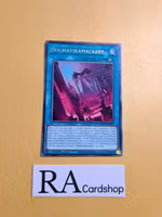 Dogmatikmacabre Rare MP23-EN029 1st Edition 25th Anniversary Tin: Dueling Heroes Mega Pack MP23 Yu-Gi-Oh