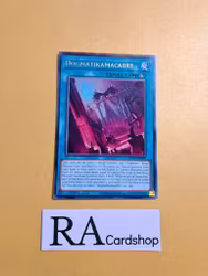 Dogmatikmacabre Rare MP23-EN029 1st Edition 25th Anniversary Tin: Dueling Heroes Mega Pack MP23 Yu-Gi-Oh