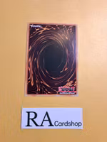 Wollow, Founder of the Drudge Dragons Common MP23-EN191 1st Edition 25th Anniversary Tin: Dueling Heroes Mega Pack MP23 Yu-Gi-Oh