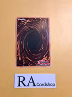 Infernalqueen Salmon Common MP23-EN178 1st Edition 25th Anniversary Tin: Dueling Heroes Mega Pack MP23 Yu-Gi-Oh