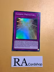 Canopic Protector Super Rare AGOV-EN076 1st Edition Age of Overlord 2020 AGOV Yu-Gi-Oh