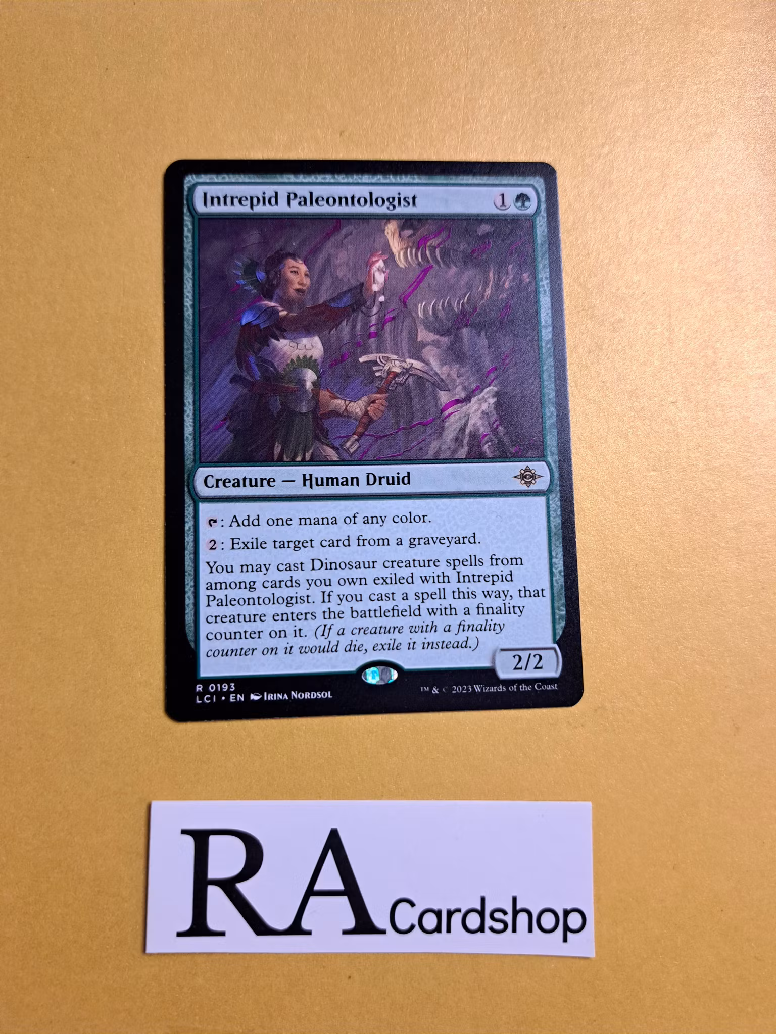 Intrepid Paleontologist Rare 0193 The Lost Caverns of Ixalan LCI Magic the Gathering