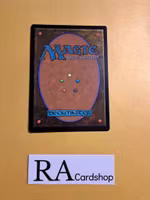 Plains Land Foil 0393 The Lost Caverns of Ixalan LCI Magic the Gathering