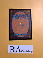 Plains Land Foil 0394 The Lost Caverns of Ixalan LCI Magic the Gathering