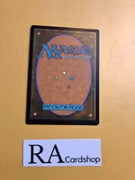 Dragonsguard Elite Rare Foil 127/275 Strixhaven School of Mages (STX) Magic the Gathering