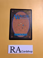 Plains Basic Land Foil 0278 Murders at Karlov Manor (MKM) Magic the Gathering