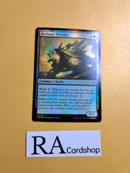 Hexbane Tortoise Common Foil 166/281 Dominaria United (DMU) Magic the Gathering