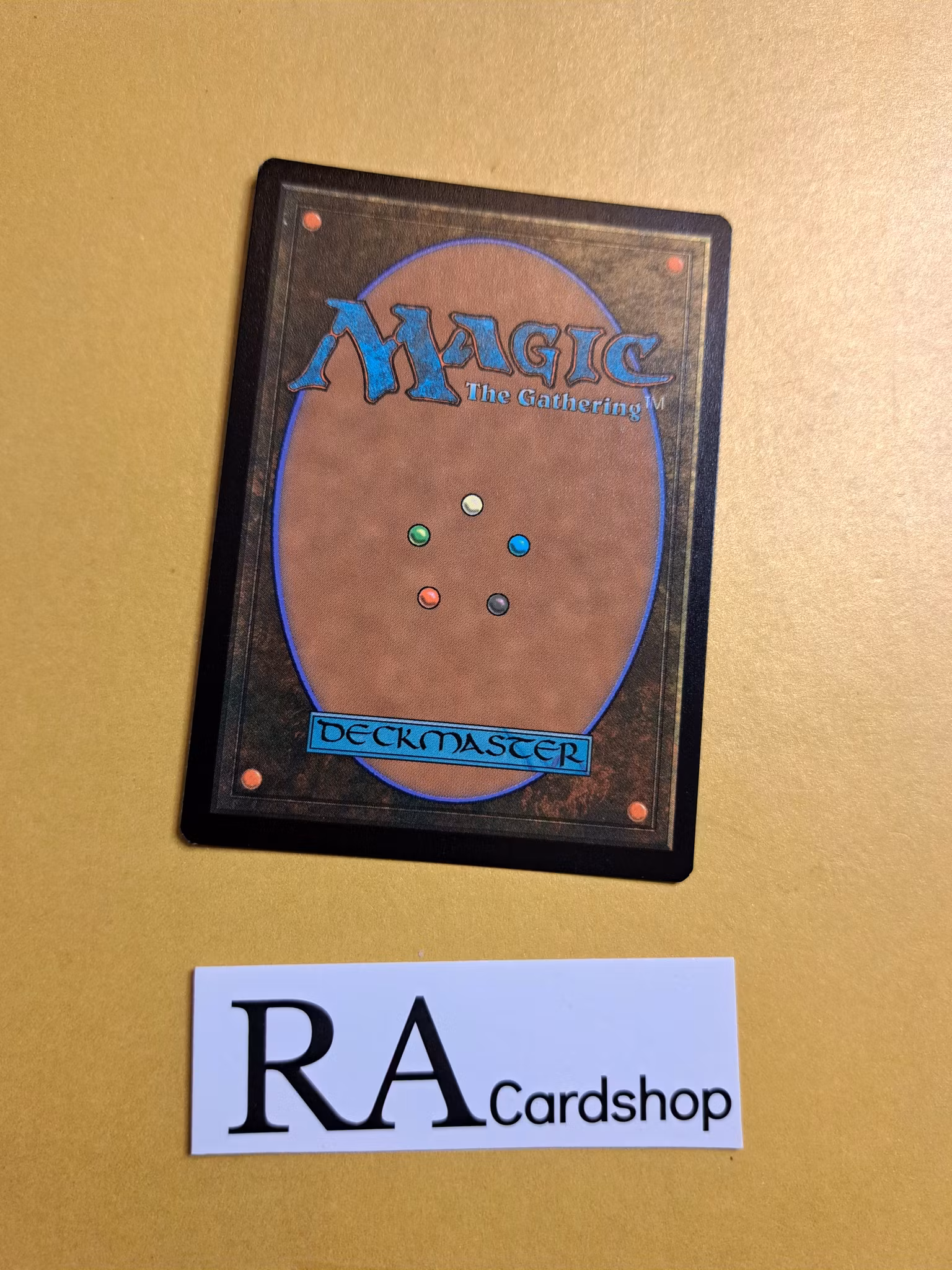 Hexbane Tortoise Common Foil 166/281 Dominaria United (DMU) Magic the Gathering