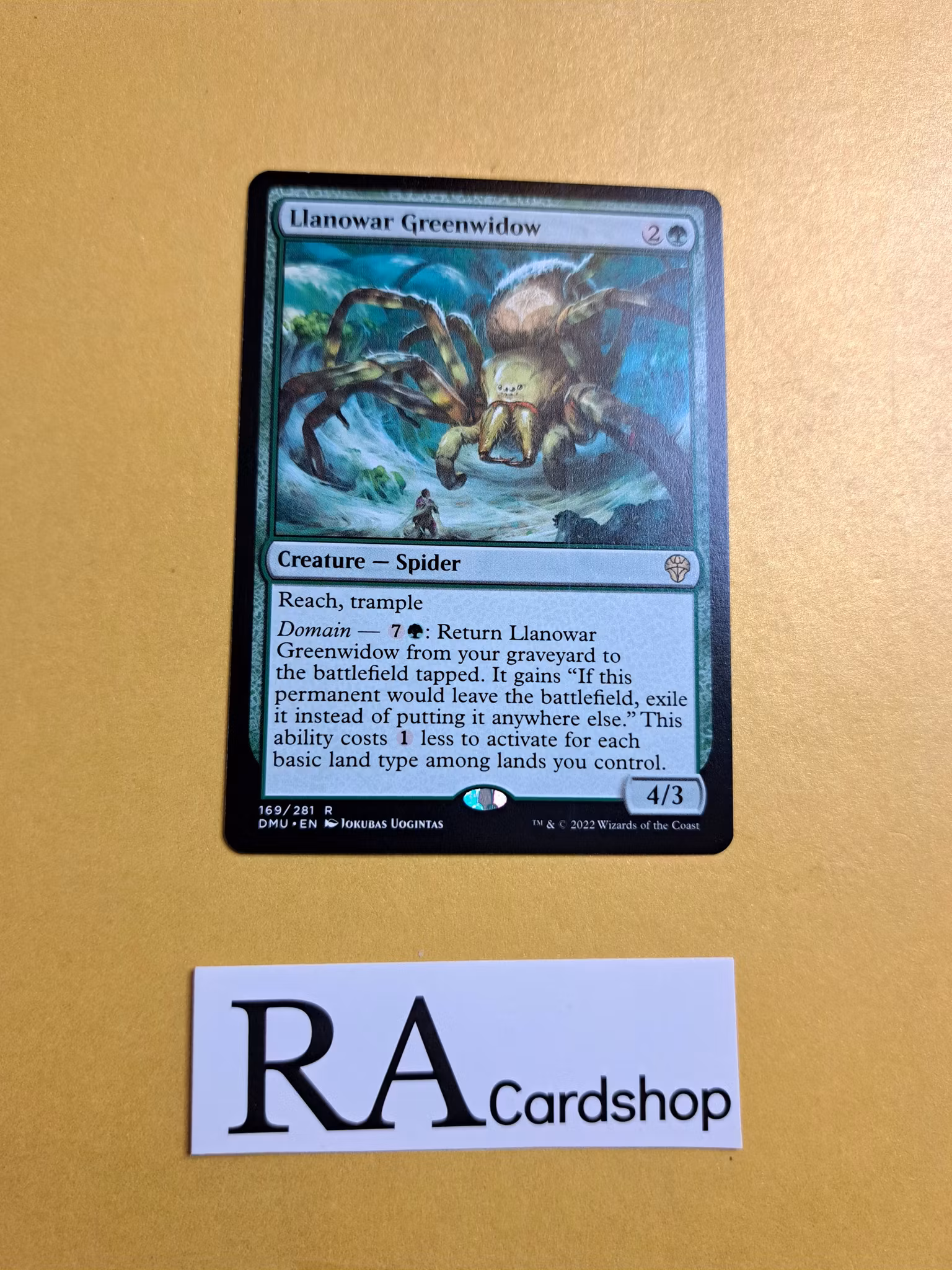 Lianowar Greenwidow Rare 169/281 Dominaria United (DMU) Magic the Gathering