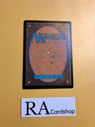 Meria, Scolar of Antiquity Rare 206/281 Dominaria United (DMU) Magic the Gathering