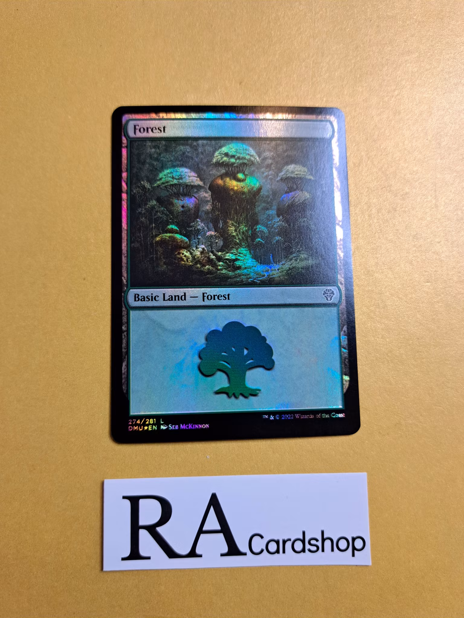 Forest Basic Land Foil 274/281 Dominaria United (DMU) Magic the Gathering