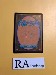 Forest Basic Land Foil 274/281 Dominaria United (DMU) Magic the Gathering