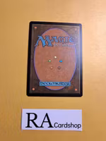 Furious Resistance Common Foil 93/249 Gatecrash Gatecrash (GTC) Magic the Gathering