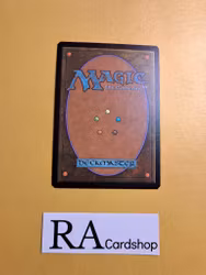 Furious Resistance Common Foil 93/249 Gatecrash Gatecrash (GTC) Magic the Gathering