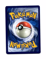 Houndour Common 45/214 Lost Thunder Pokemon