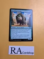 Rambling Possum Uncommon 0176 Outlaws of Thunder Junction (OTJ) Magic the Gathering