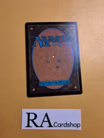 Chance-Met Elves Common 0157 The Lord of the Rings Tales of Middle-earth (LTR) Magic the Gathering