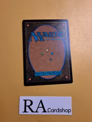 Chance-Met Elves Common 0157 The Lord of the Rings Tales of Middle-earth (LTR) Magic the Gathering