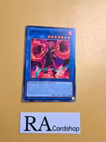 Libromancer Fireburst Common MP23-EN0112 1st Edition 25th Anniversary Tin: Dueling Heroes Mega Pack MP23 Yu-Gi-Oh