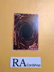 Libromancer Fireburst Common MP23-EN0112 1st Edition 25th Anniversary Tin: Dueling Heroes Mega Pack MP23 Yu-Gi-Oh