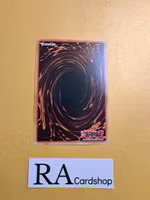 Eka the Flame Buddy Common MP23-EN130 1st Edition 25th Anniversary Tin: Dueling Heroes Mega Pack MP23 Yu-Gi-Oh