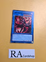 Libromancer Doombroker Common MP23-EN047 1st Edition 25th Anniversary Tin: Dueling Heroes Mega Pack MP23 Yu-Gi-Oh